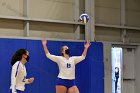 Volleyball vs RWU  Wheaton Women’s Volleyball vs Roger Williams University. : Volleyball, VB